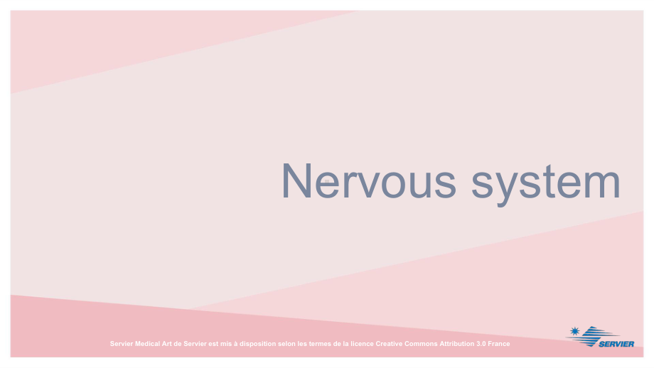 临床与科研绘图-神经学Nervous-system课件.ppt_第2页