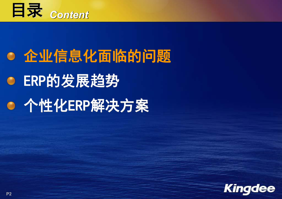 个性化ERP解决方案.ppt_第2页