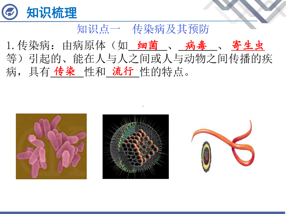 传染病和免疫课件.pptx_第3页