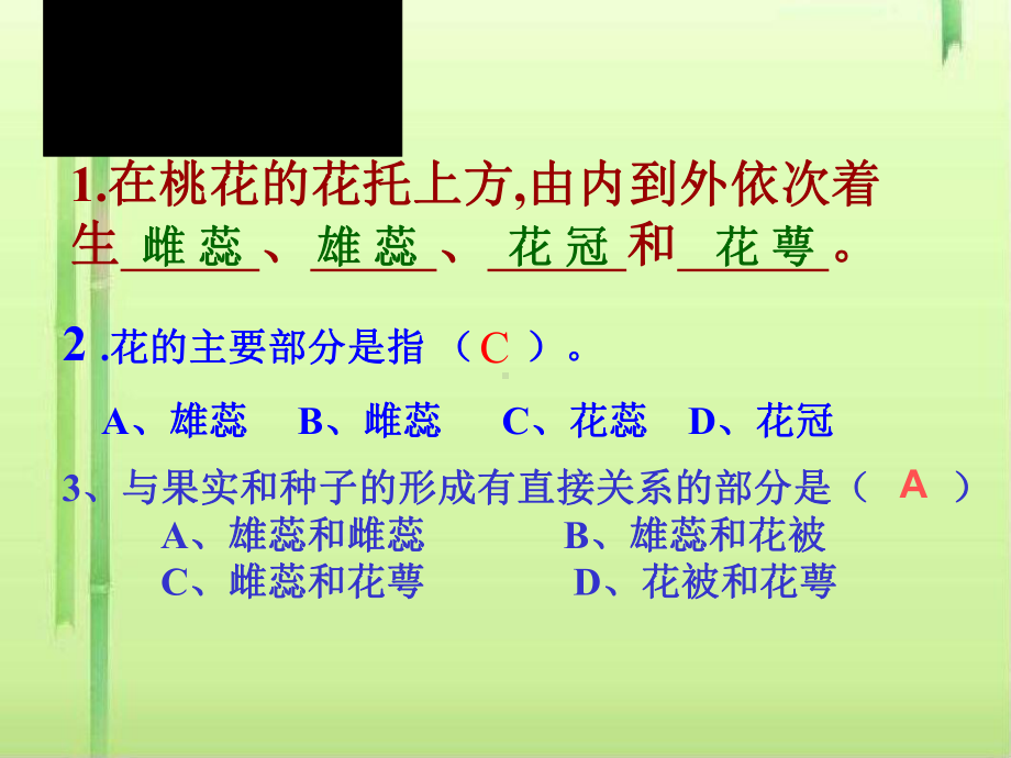 传粉与受精2-济南版课件.ppt_第1页