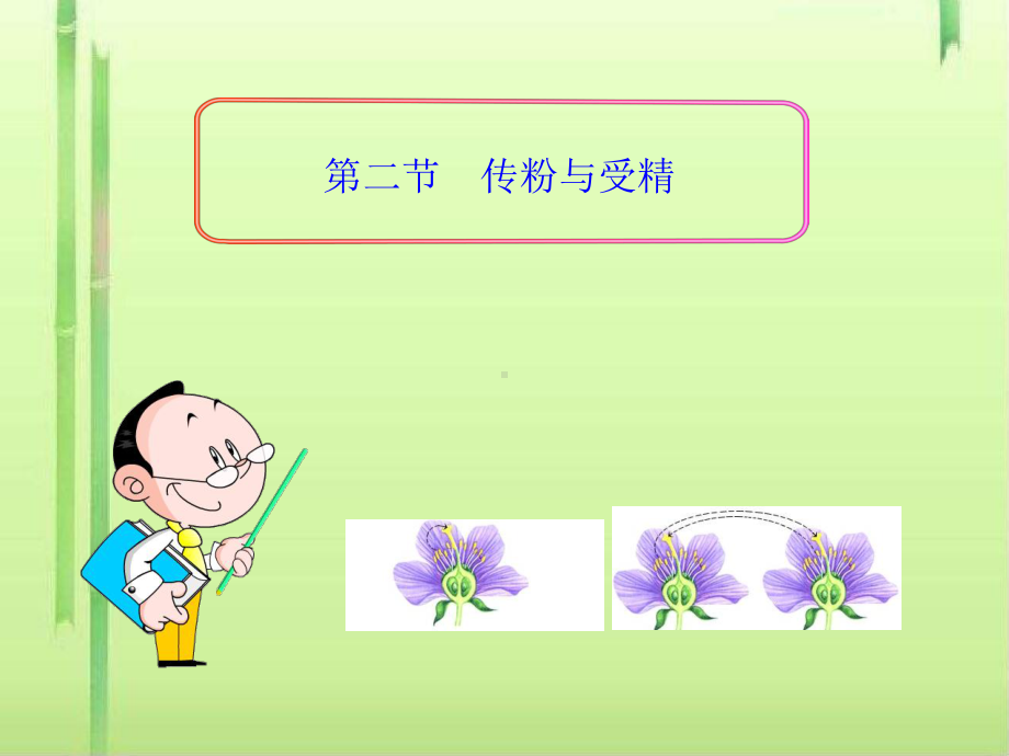 传粉与受精2-济南版课件.ppt_第3页