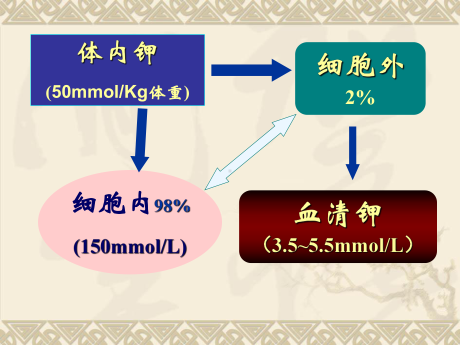 低血钾症-课件.ppt_第2页