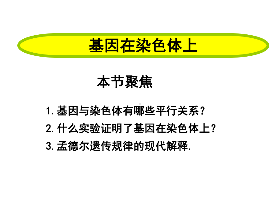 人教版新教材《基因在染色体上》1课件.pptx_第1页