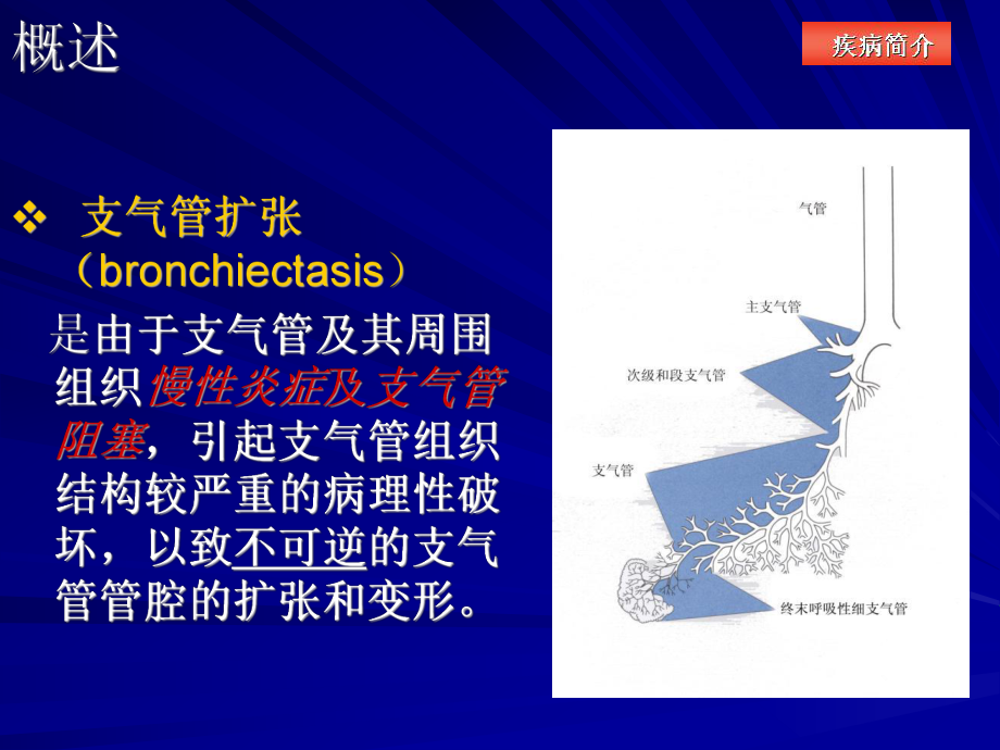 一例支气管扩张合并感染患者的药学监护课件.ppt_第3页