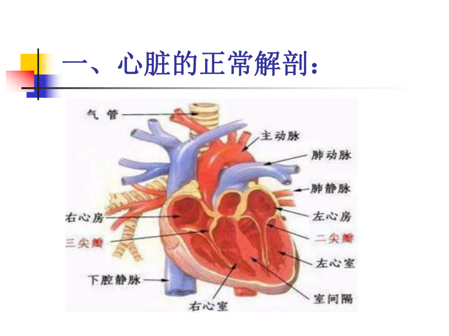 体外循环下冠状动脉搭桥的手术配合课件.ppt_第2页