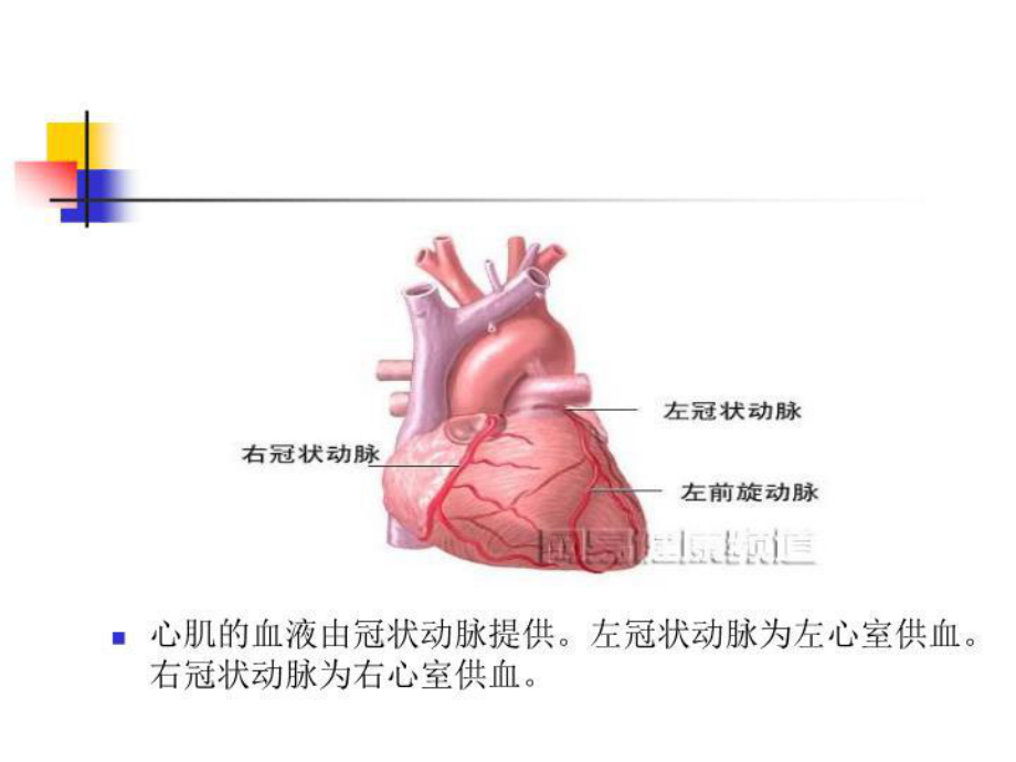 体外循环下冠状动脉搭桥的手术配合课件.ppt_第3页