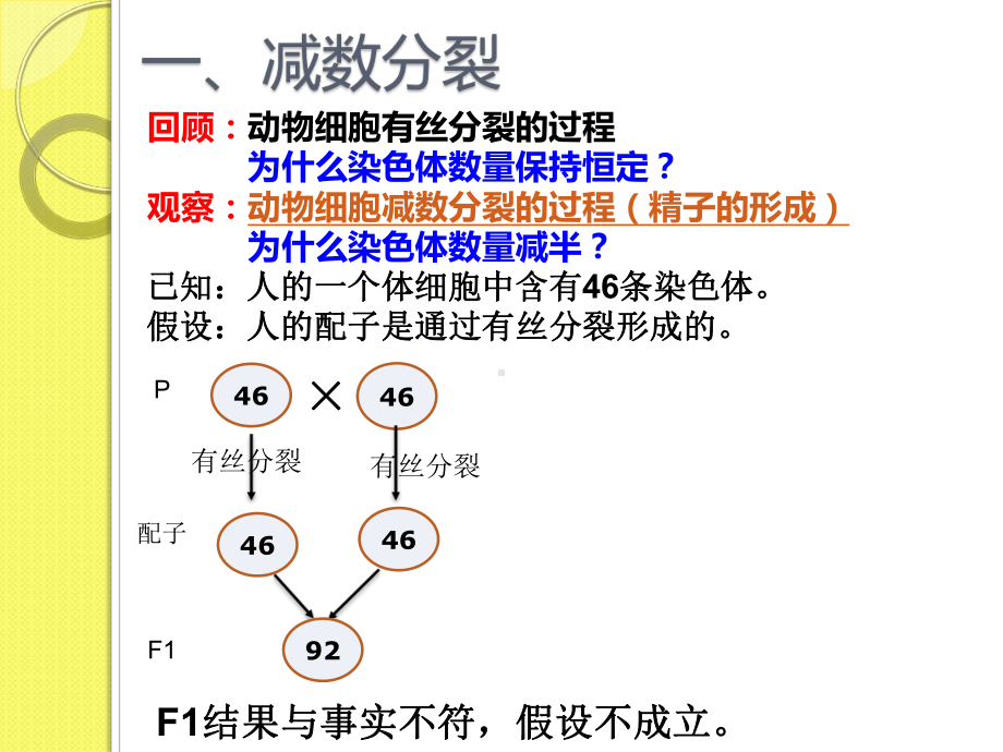 人教版必修二减数分裂和受精作用课件.ppt_第3页