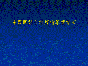 中西医结合治疗输尿管结石课件.ppt