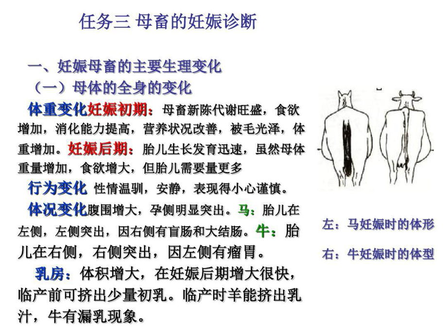 任务三-母畜的妊娠诊断共33张课件.ppt_第2页