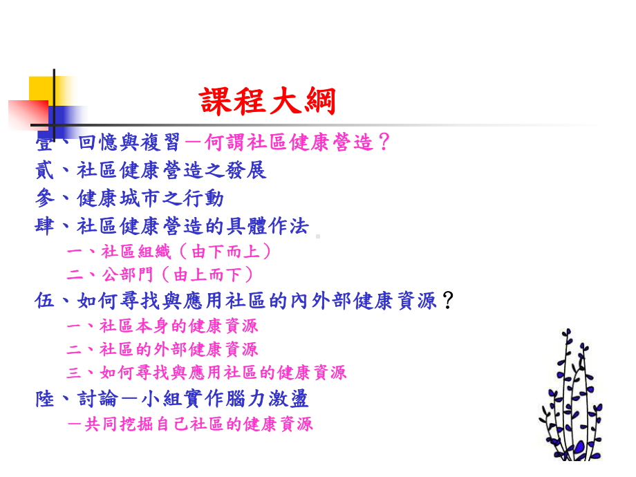 作个社区健康营造的行动者课件.ppt_第2页