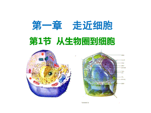 人教版高中生物必修一(全套)课件.ppt