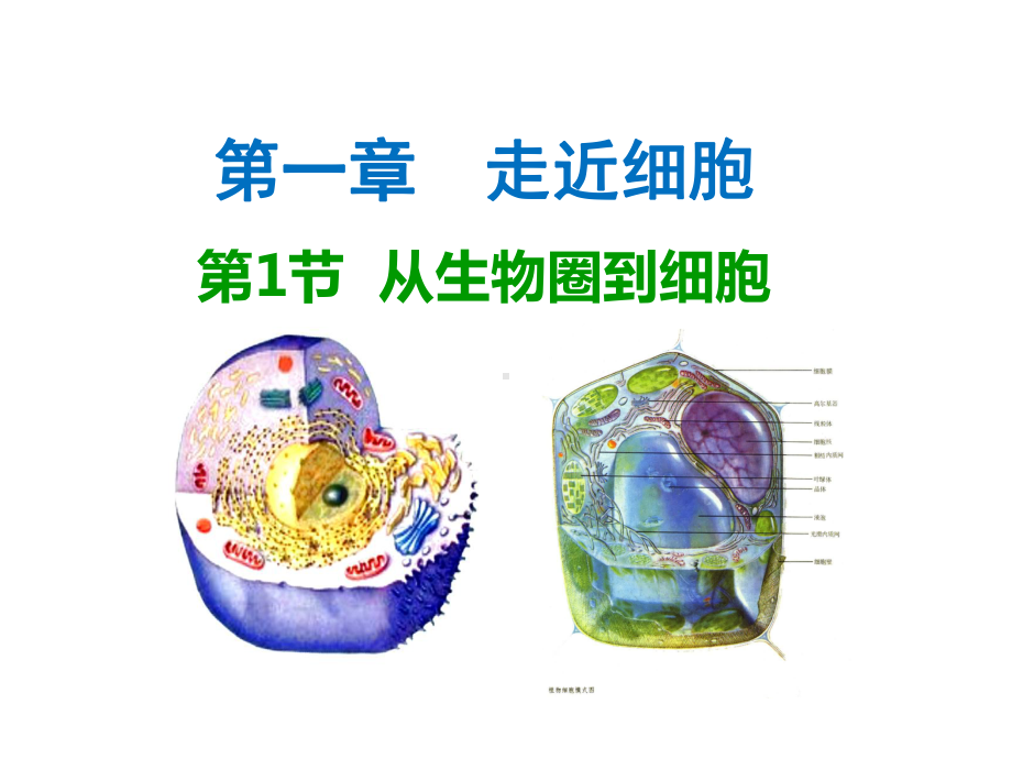 人教版高中生物必修一(全套)课件.ppt_第1页