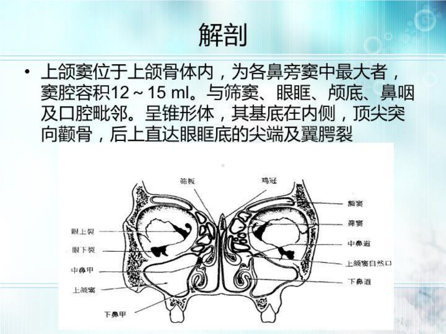 上颌窦根治术(01)课件.ppt_第3页