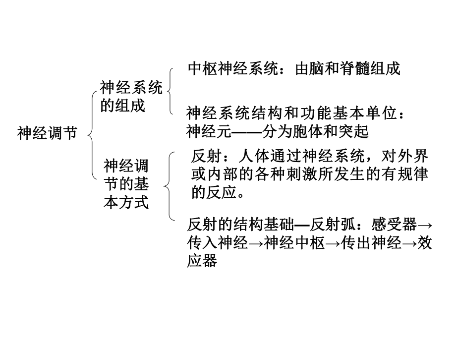 人体生命活动的调节13-人教版课件.ppt_第2页