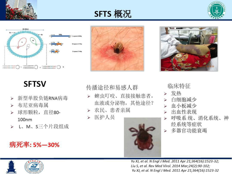 严重发热伴血小板减少综合征的诊疗及鉴别诊断共48张课件.ppt_第3页