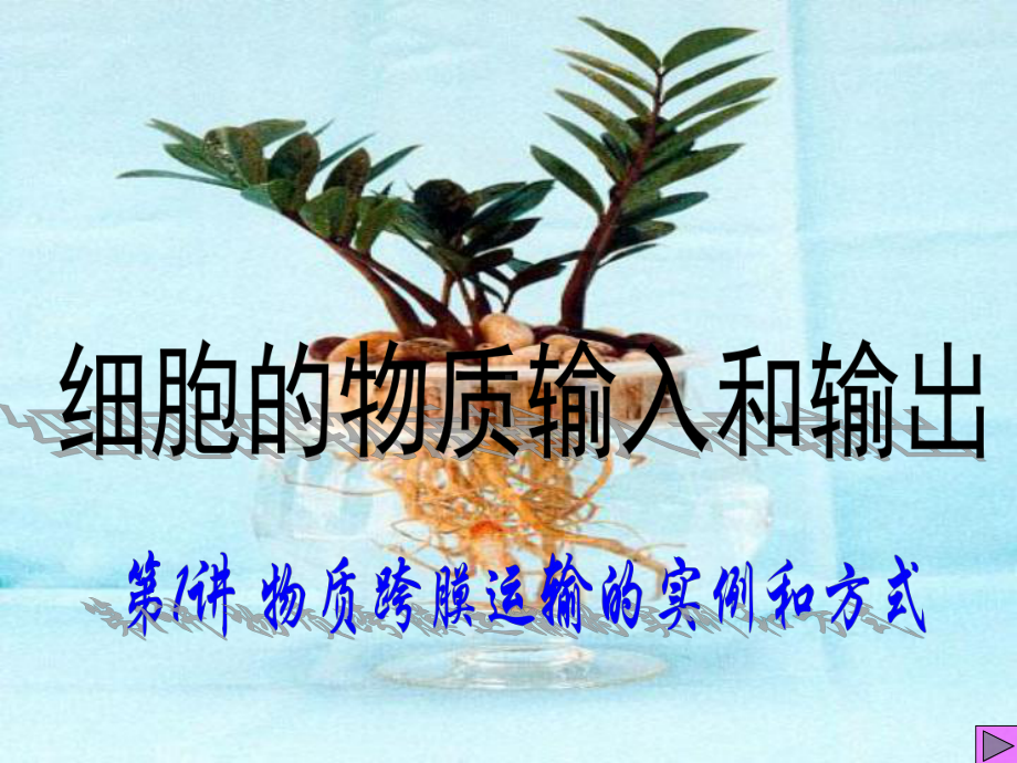 人教版生物必修一《探究植物细胞的吸水与失水》课件.pptx_第1页