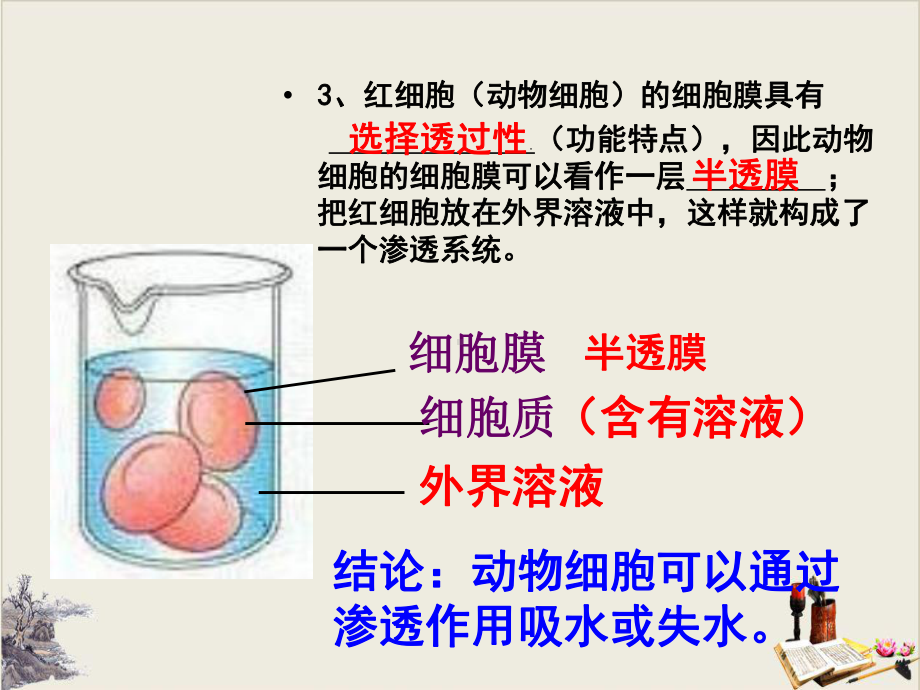 人教版生物必修一《探究植物细胞的吸水与失水》课件.pptx_第3页