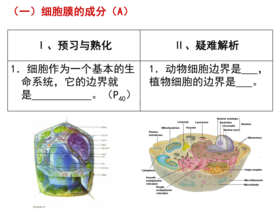 三章-细胞的基本结构课件.ppt_第2页