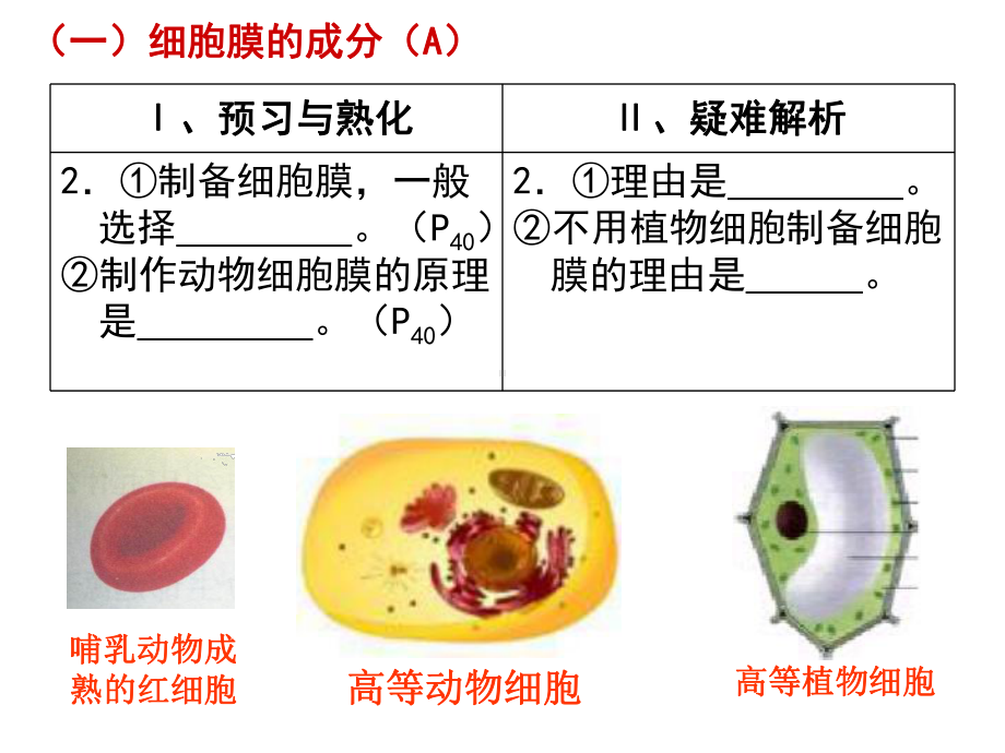 三章-细胞的基本结构课件.ppt_第3页