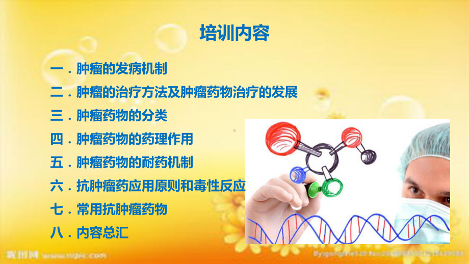 临床抗肿瘤药物课件.ppt_第2页