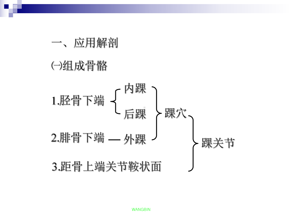 三踝折裴四才课件.ppt_第2页