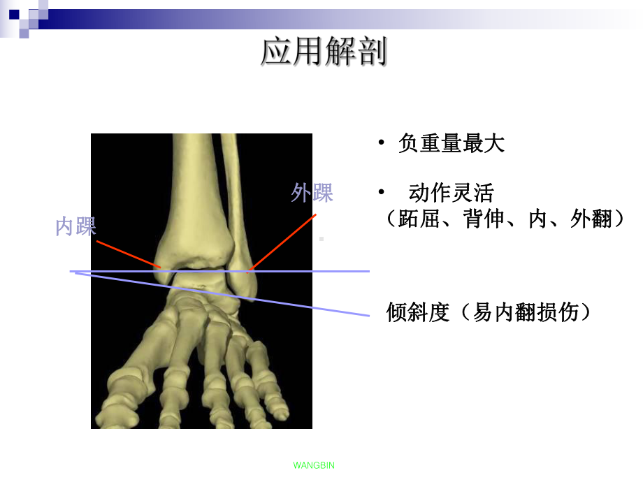 三踝折裴四才课件.ppt_第3页