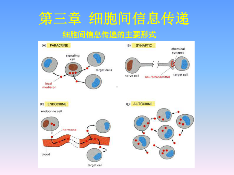 大学课程生理学课件-第三章细胞间信息传递.ppt_第2页