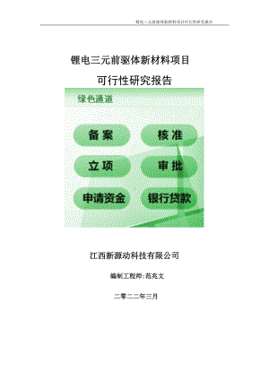 锂电三元前驱体新材料项目可行性研究报告-申请建议书用可修改样本.doc