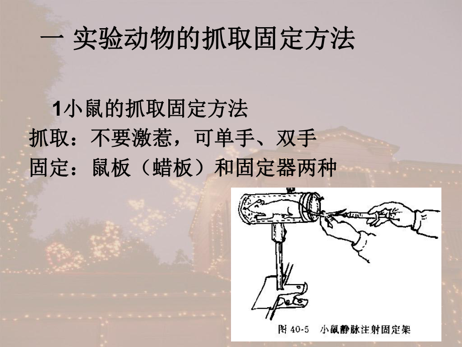 实验动物讲义课件.ppt_第2页