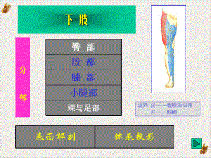 境界前腹股沟韧带课件.ppt