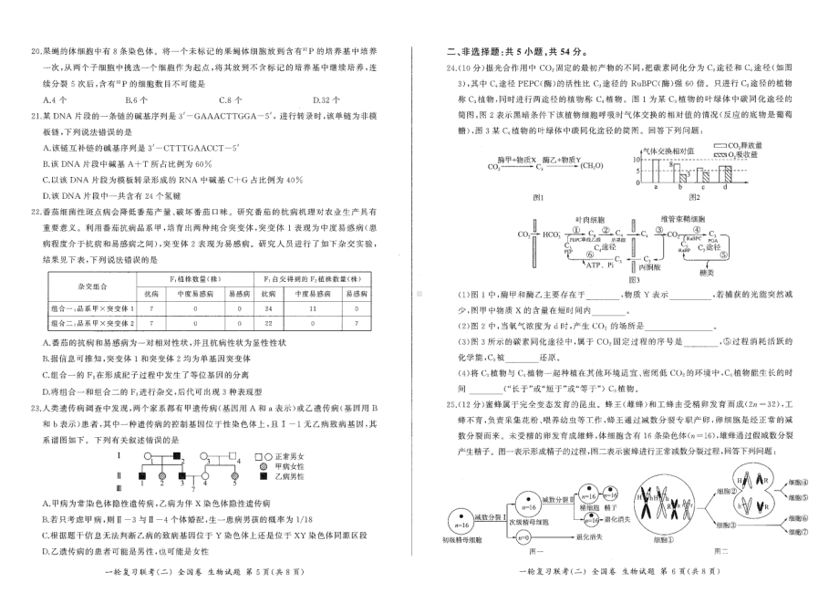 河南省安阳市一中2022-2023学年高三上学期一轮复习联考(二)全国卷生物试卷.pdf_第3页