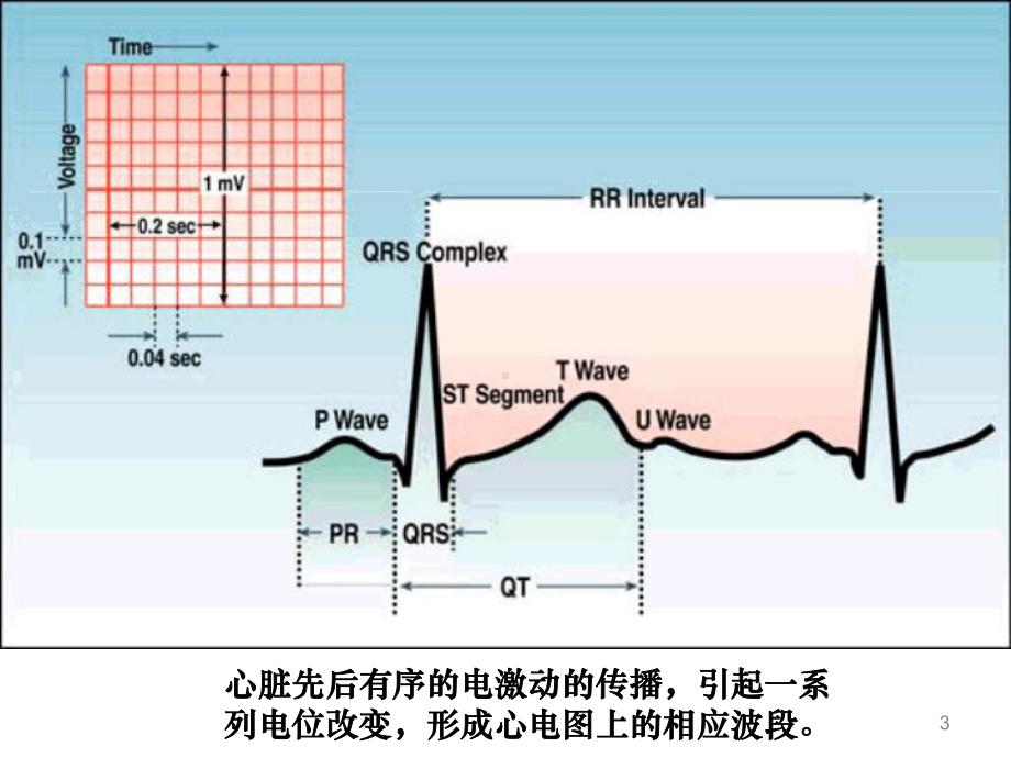 心律失常课件-2.ppt_第3页