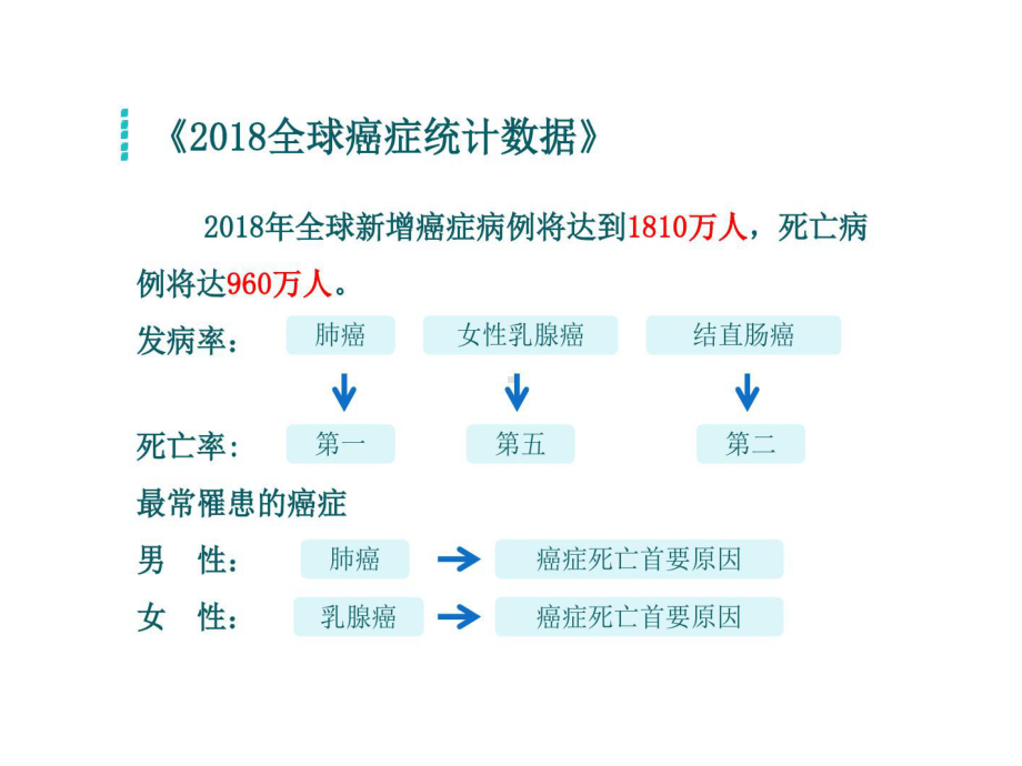 常用化疗药临床应用48张课件.ppt_第3页