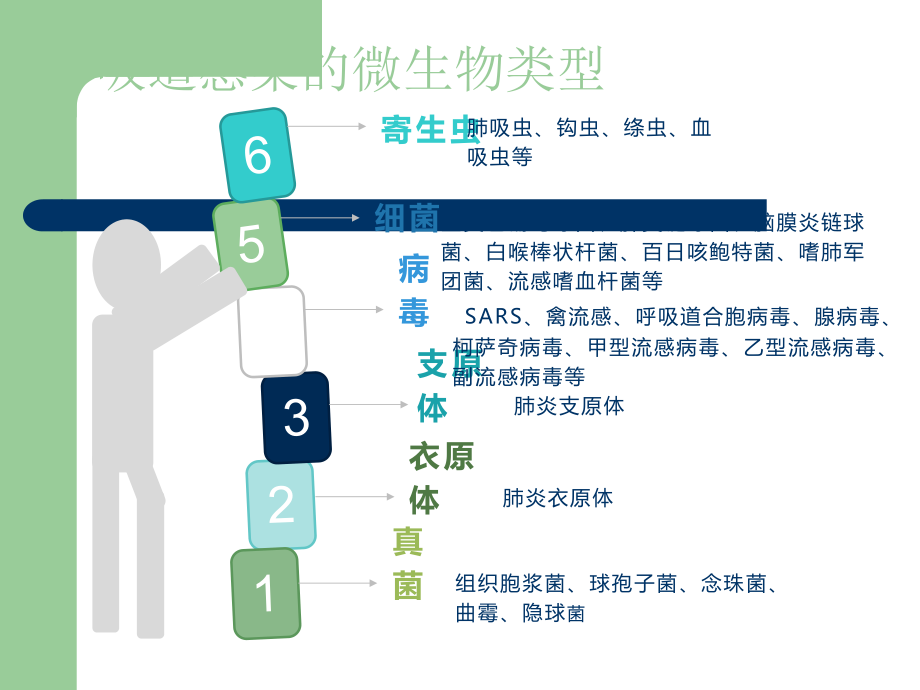 呼吸道疾病检测解决方案.ppt_第2页