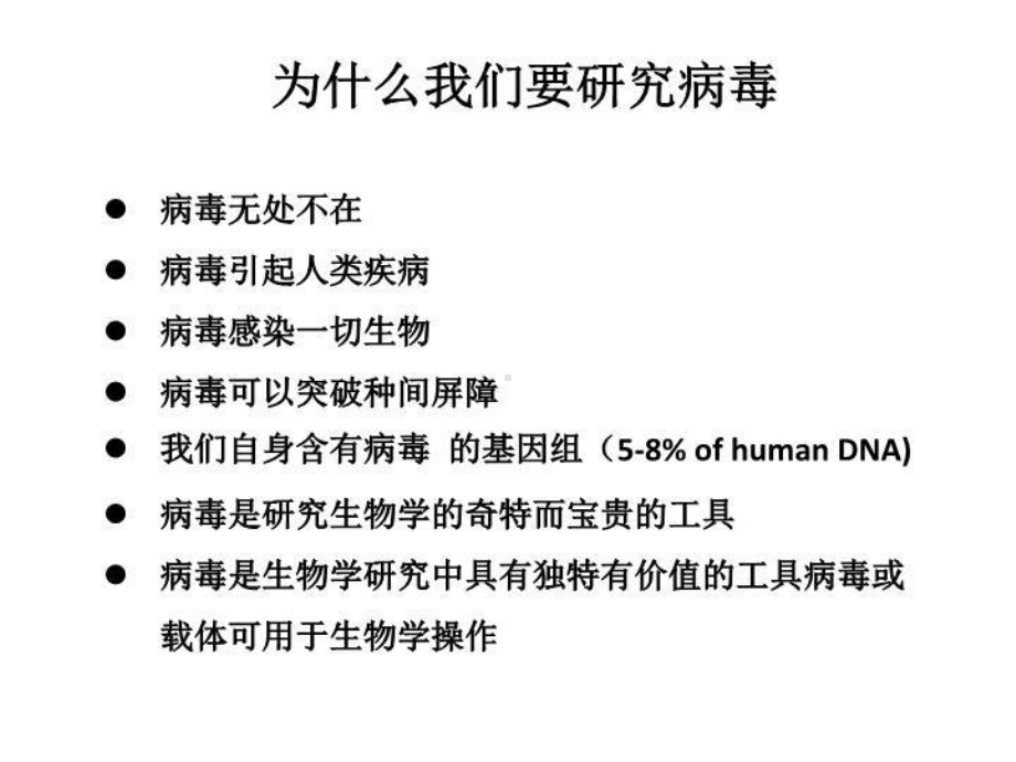 分子病毒学教讲义学大纲-病毒学概论课件.ppt_第2页