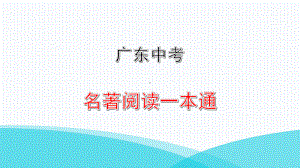 名著阅读《傅雷家书》习题课件2021年广东省中考语文专项复习.pptx