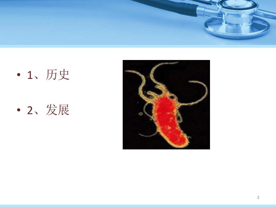 幽门螺旋杆菌感染的诊断与治疗课件-2.ppt_第2页