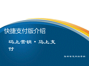 大连手机支付系统开发解决方案-网络营销课件.ppt