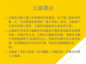 双侧丘脑对称性病变影像学优秀PTT课件.ppt