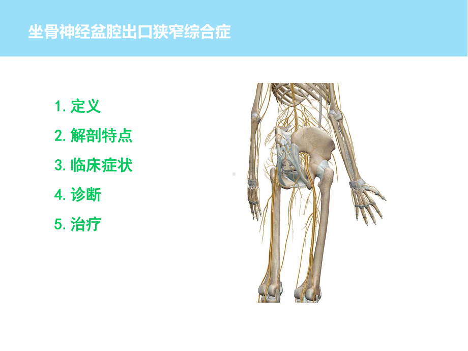 坐骨神经盆腔出口综合征课件.ppt_第2页