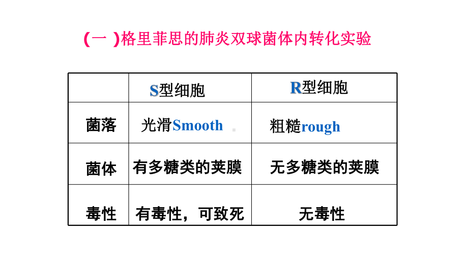 必修二学考复习第3章基因的本质(共31张)课件.pptx_第3页