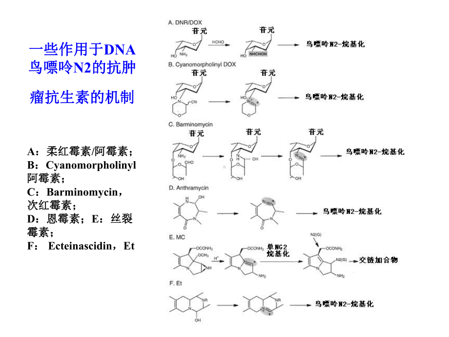 微生物药物学第七章-抗肿瘤抗生素课件.ppt_第3页