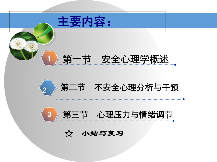 安全心理学培训课件(-58张).ppt_第2页