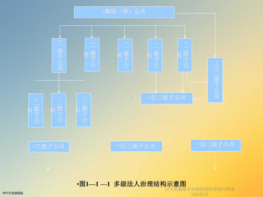 公司资源集中控制的组织架构与财务风险防范课件.ppt_第3页