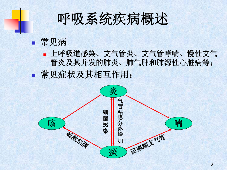 呼吸系统的用药课件.ppt_第2页