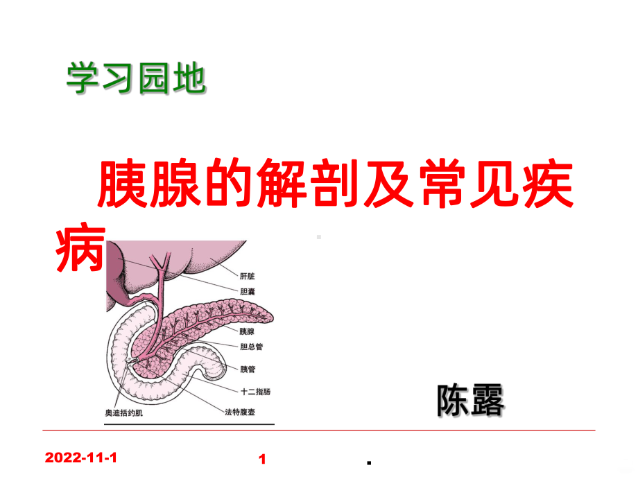 学习-胰腺的解剖及常见疾病课件.ppt_第1页