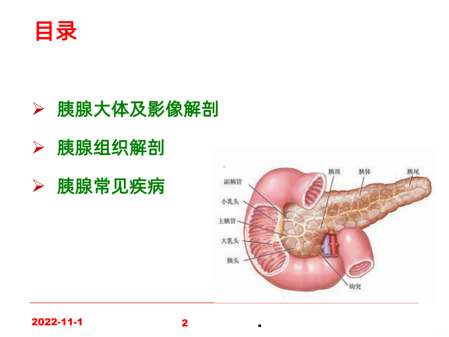 学习-胰腺的解剖及常见疾病课件.ppt_第2页