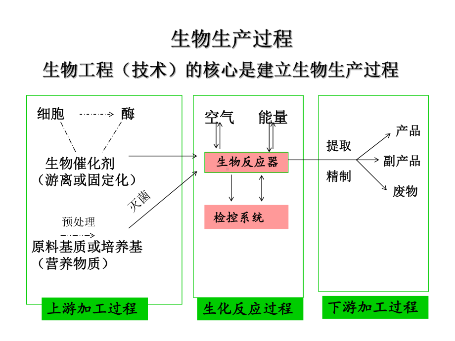 工业生物技术研究现状及发展趋势课件.ppt_第3页