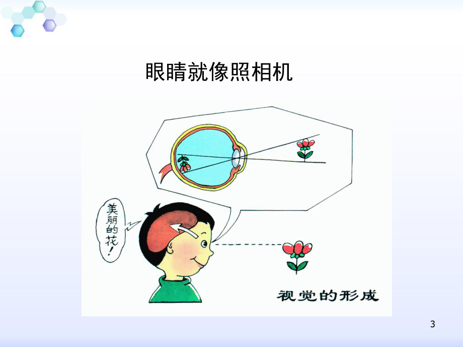 幼儿视力发育及保健-课件.ppt_第3页