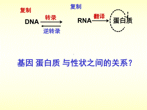 基因表达与性状的关系优质公开课课件.ppt